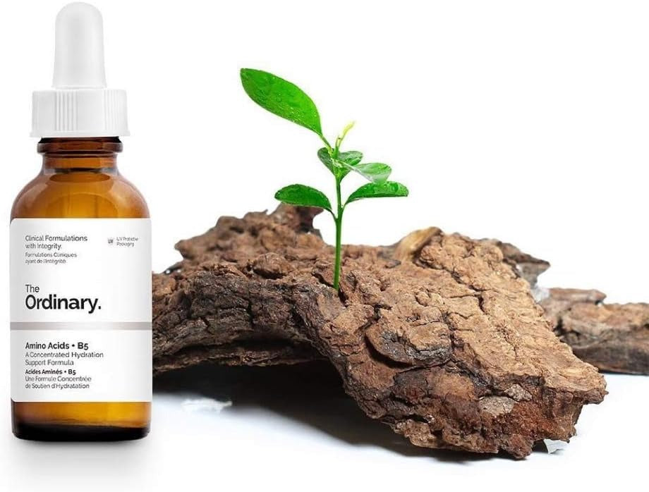 The Ordinary Amino Acids + B5 (30ml): Deep Hydration & Barrier Repair
